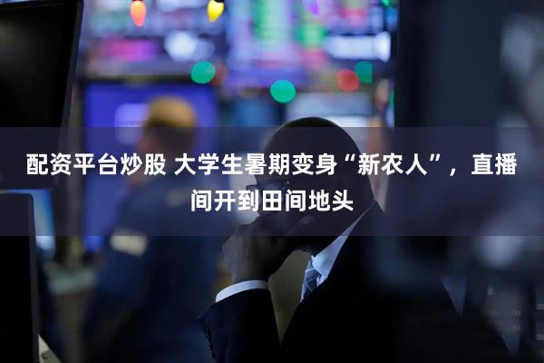 配资平台炒股 大学生暑期变身“新农人”，直播间开到田间地头