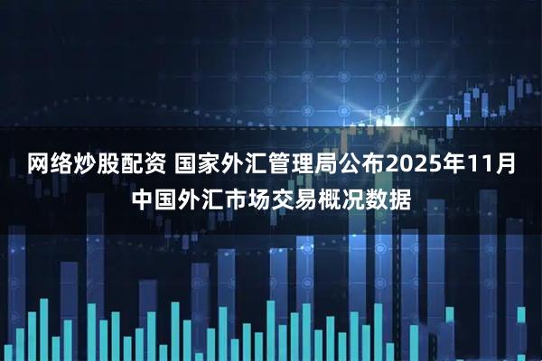 网络炒股配资 国家外汇管理局公布2025年11月中国外汇市场交易概况数据
