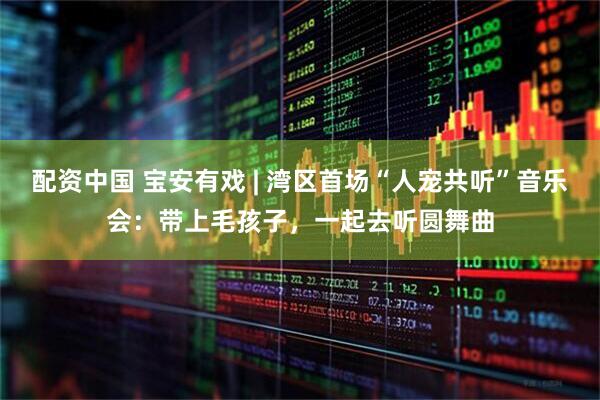 配资中国 宝安有戏 | 湾区首场“人宠共听”音乐会:带上毛孩子,一起去听圆舞曲